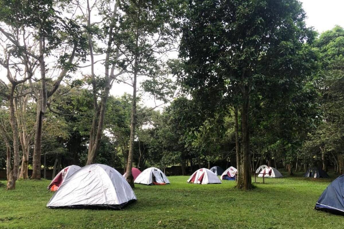 Comfort Tent | Premium bedding, down comforters, WiFi (free)