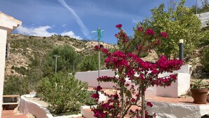 A courtyard with a white wall, a small tree with pink flowers, and a potted plant.
