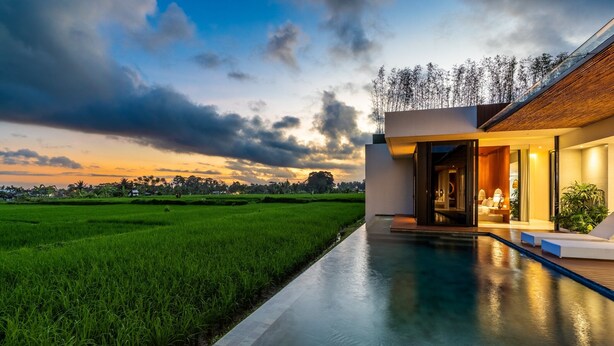 A modern house with a swimming pool, surrounded by lush green fields. - Amazing 3BR Green Flow Villa in Ubud with Pool (Kec. Ubud)