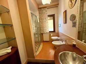 Shower, hair dryer, bidet, towels