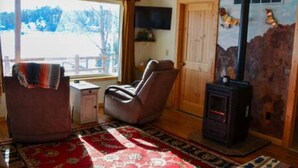 A cozy room with a fireplace, a comfortable chair, a television, and a large window offering a view of the outdoors. - Marr's Mountain Cabins - Cabin 1 (Red Feather Lakes)