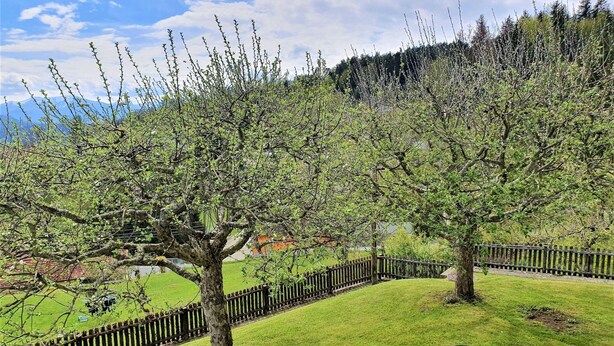 Jardín cercado con árboles y vista a una cadena montañosa.