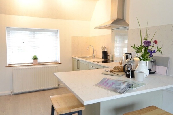 Orchard Suite | Private kitchen | Fridge, microwave, stovetop, electric kettle