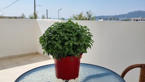 Basic Double or Twin Room, 1 Queen Bed, Non Smoking, Sea View | Terrace/patio