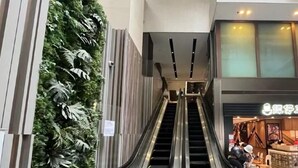 Una escala mecànica interior en un edifici modern amb un jardí vertical a un costat.