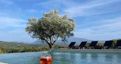 LE DOMAINE D'IRIS Superbe bastide en pierre située à 6 km de Vaison la Romaine.