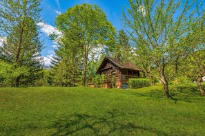 A rustic cabin surrounded by lush green trees and a clear blue sky.