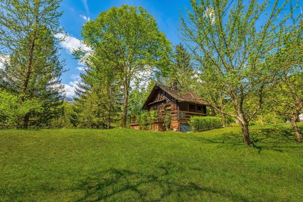 Family Chalet, Multiple Bedrooms, Mountainside (Rozi's Riverside Cottage) | Exterior - Rozi's Riverside Cottage (Osilnica)