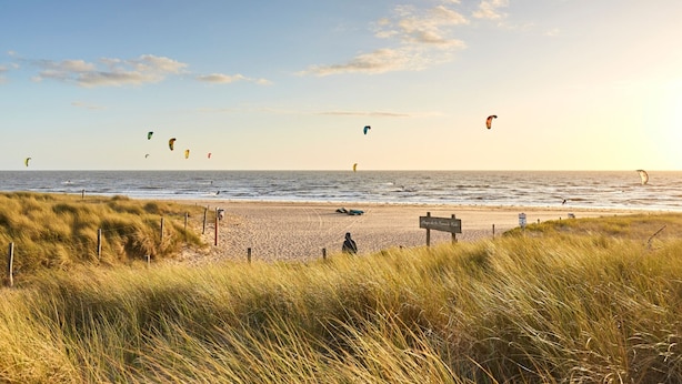 Une plage bordée de dunes herbeuses, avec un panneau indiquant « Plage de la Grande Vilette ».
