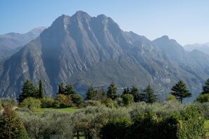 A mountainous landscape with a clear view of the peaks and a foreground of dense greenery and trees. - La Casa di Sarah in Solto Collina (Solto Collina)