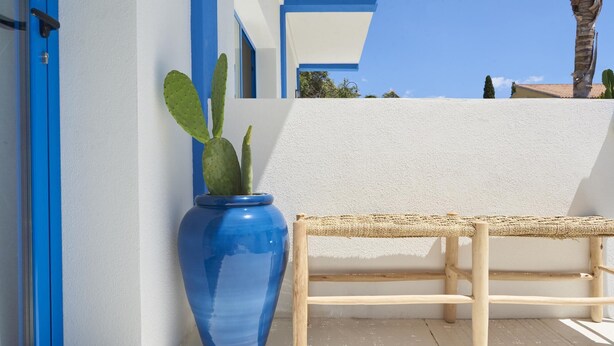 A blue vase with a cactus, a wooden bench, and a white wall with blue trim.