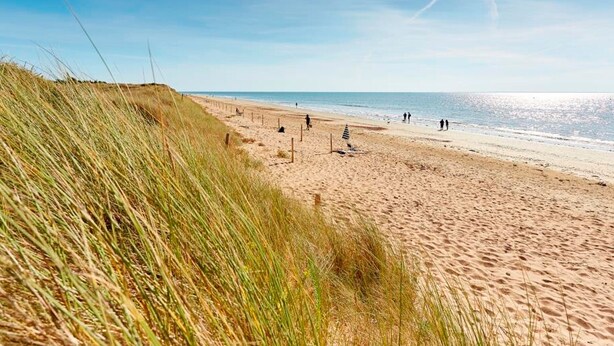 Une plage avec du sable et de l’herbe, un ciel dégagé et quelques personnes.