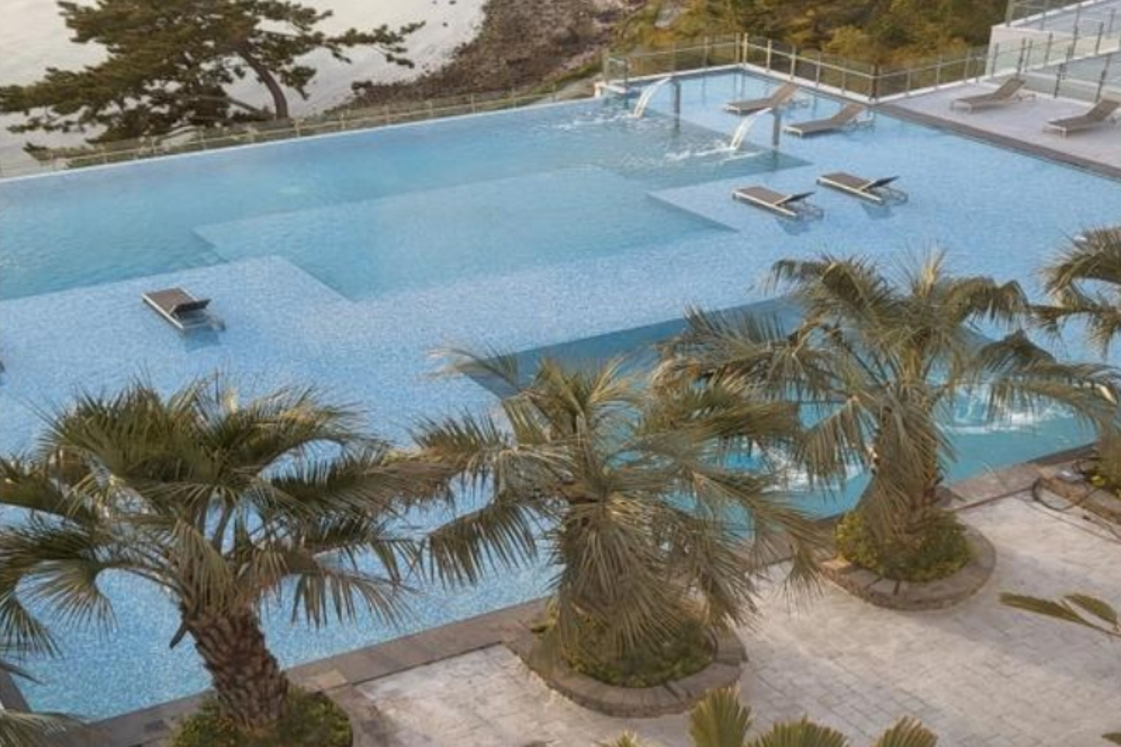Une piscine avec des chaises longues et des palmiers.