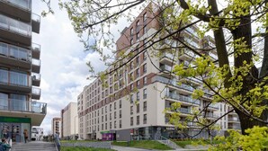 A multi-story residential building with balconies, a visible entrance, and a small landscaped area with a tree and shrubs.