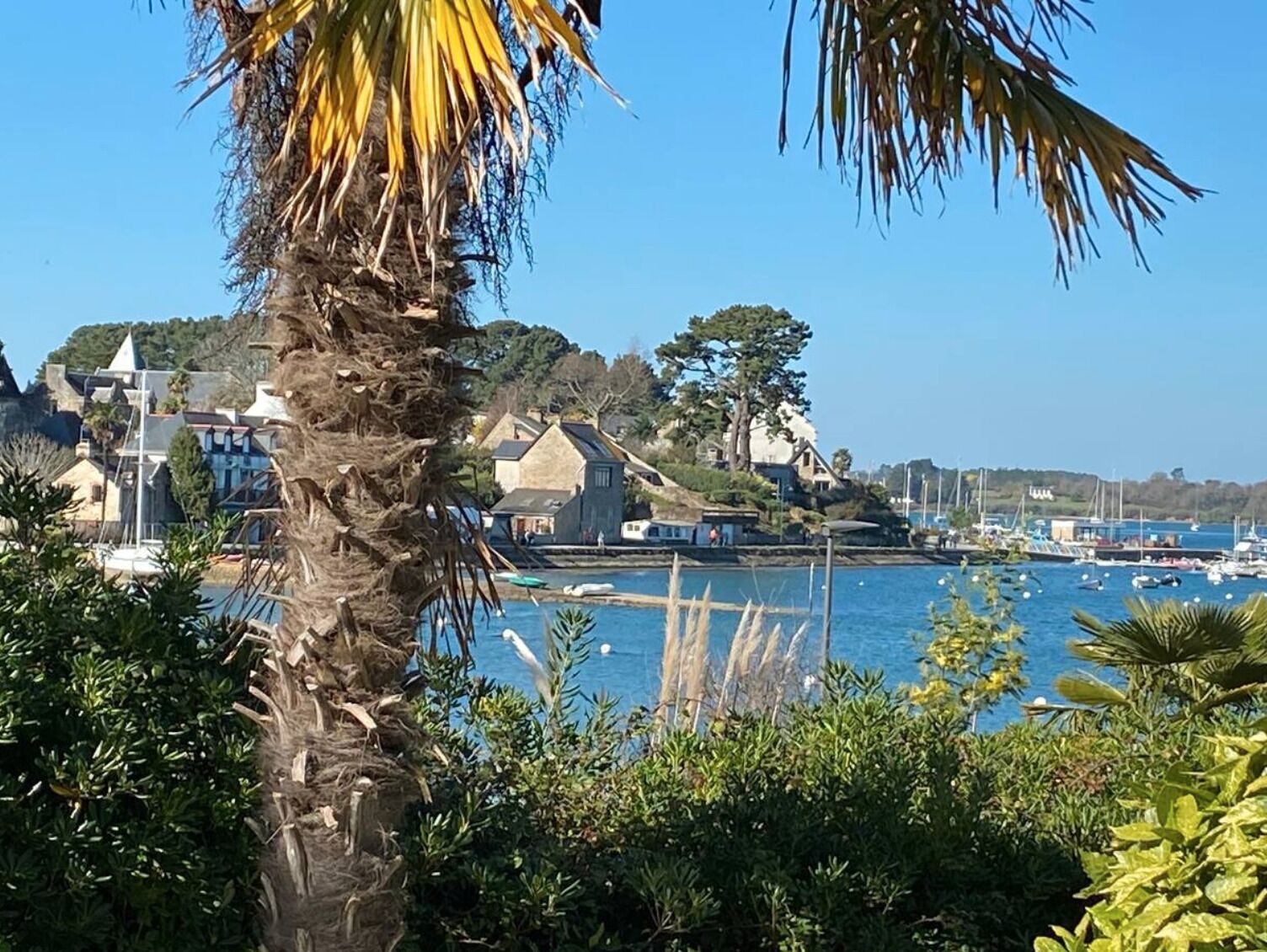 Une Pause Sous les Palmiers