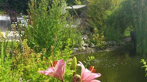 A garden with a pond, various plants, and a chair. - Pretty bungalow with fireplace in Boltenhagen (Ostseebad Boltenhagen)
