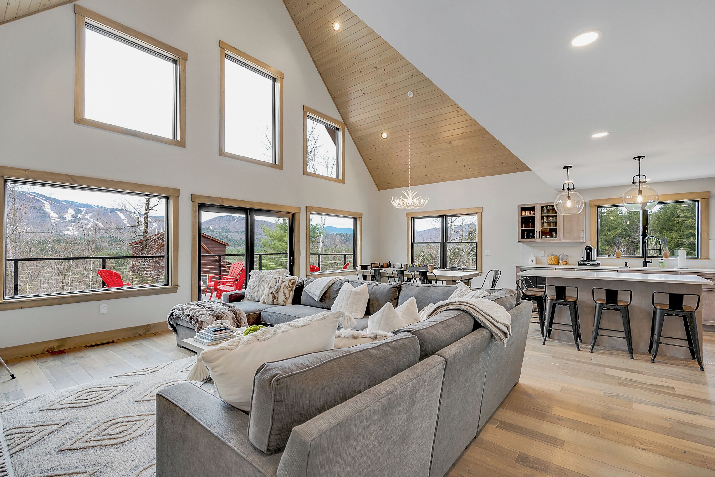 TV, fireplace, video games, books