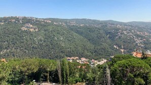 A panoramic view of a hillside village with buildings nestled among dense forests.