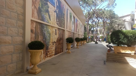 Exterior. Colibri