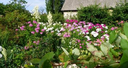 Ferienwohnung "Unter den Linden" am Rand der Sächsischen Schweiz in Dobra