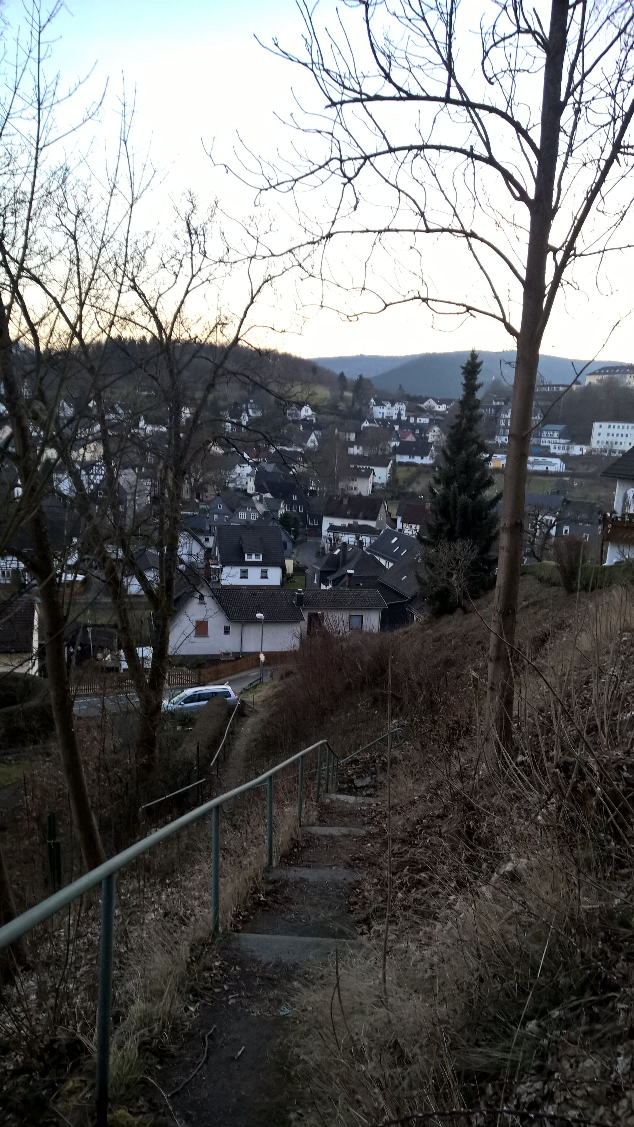 A residential area with houses, a pathway, and a railing.
