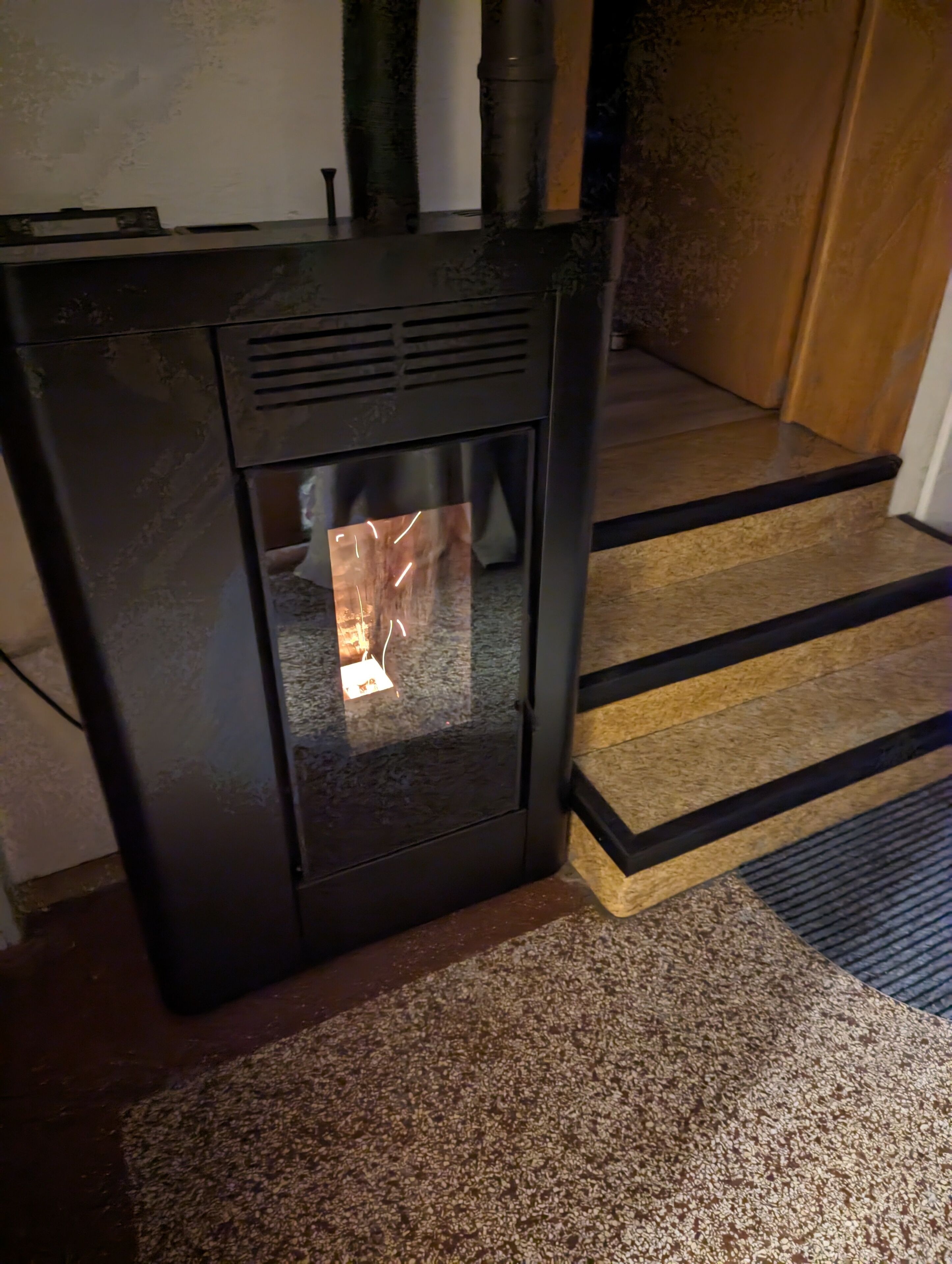 Ein Kaminofen mit Glastür in einem Raum mit Teppichboden und Holzstufen.
