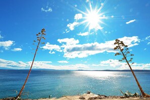 A coastal landscape with two prominent trees and a clear view of the sea under a bright sun.