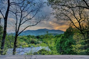 Vista desde la propiedad