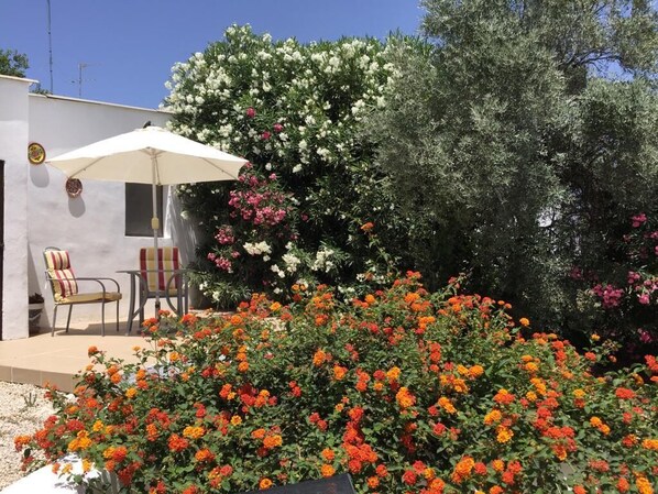 Terassi/patio