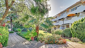 Ein gepflegter Garten mit einem gepflasterten Weg, Palmen und verschiedenen Sträuchern.