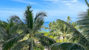Escena de playa tropical con palmeras y una vista despejada del océano.