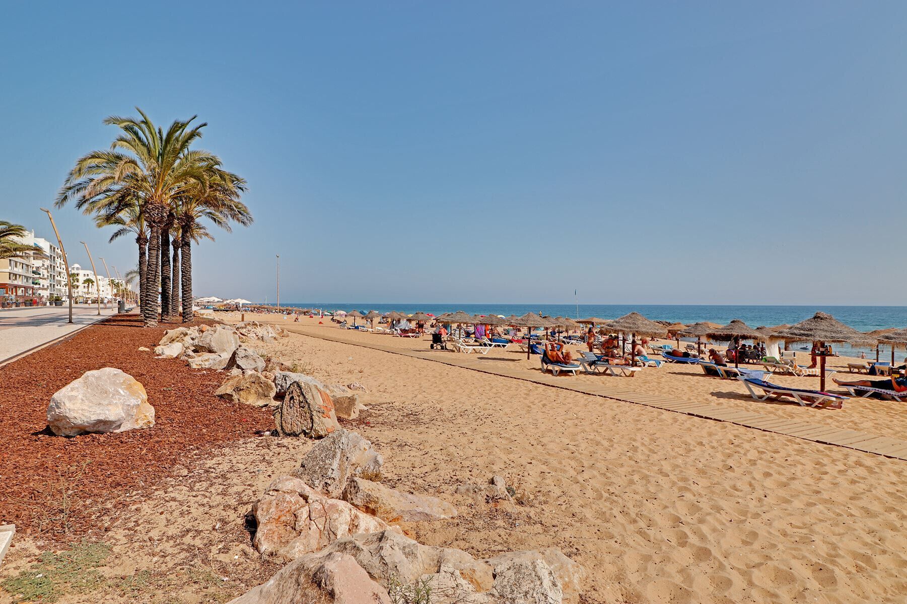 Une plage bordée de palmiers, avec des transats et des parasols.