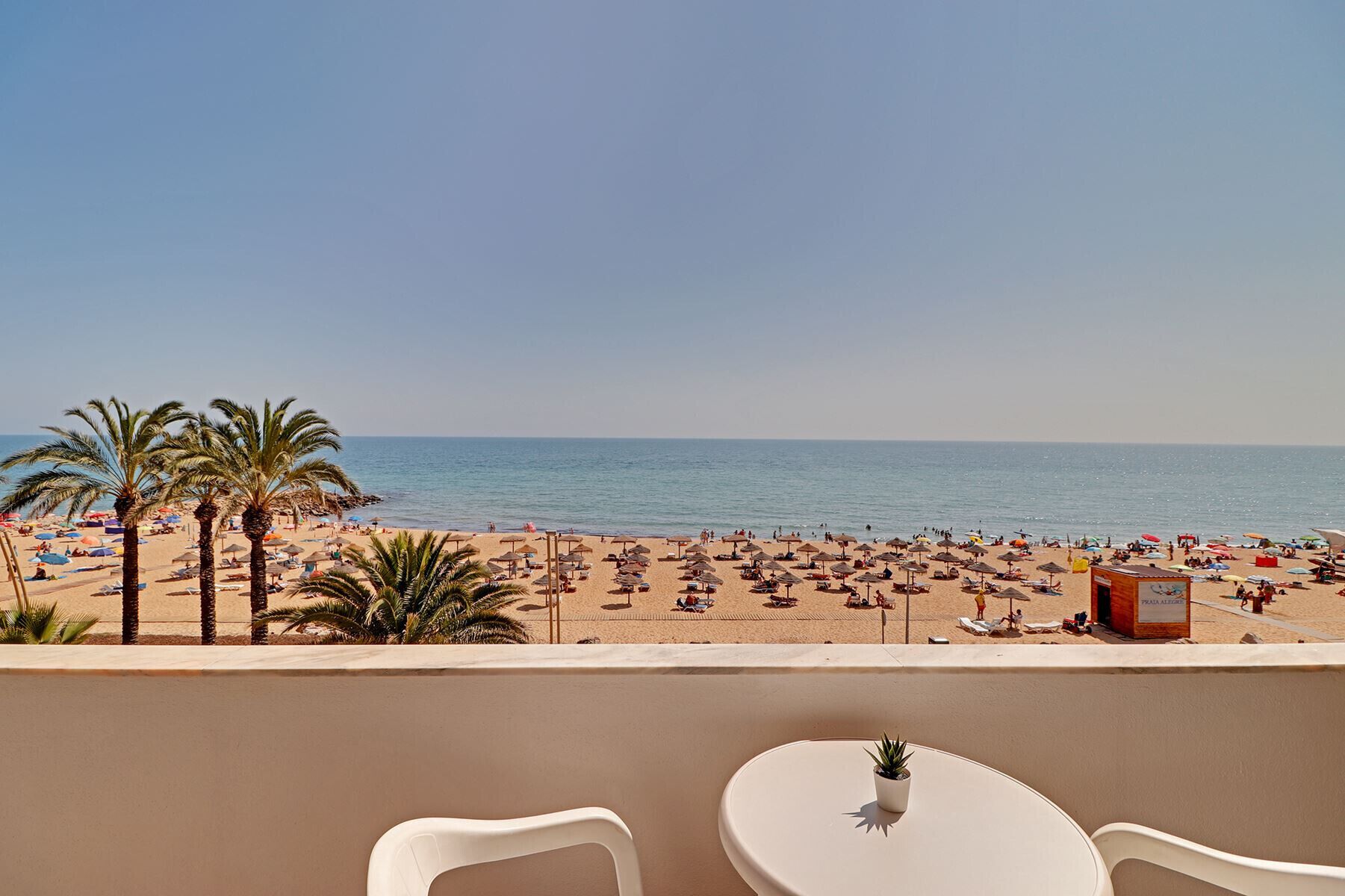 A beach view from a balcony with palm trees, beach umbrellas, and a small table with a plant.