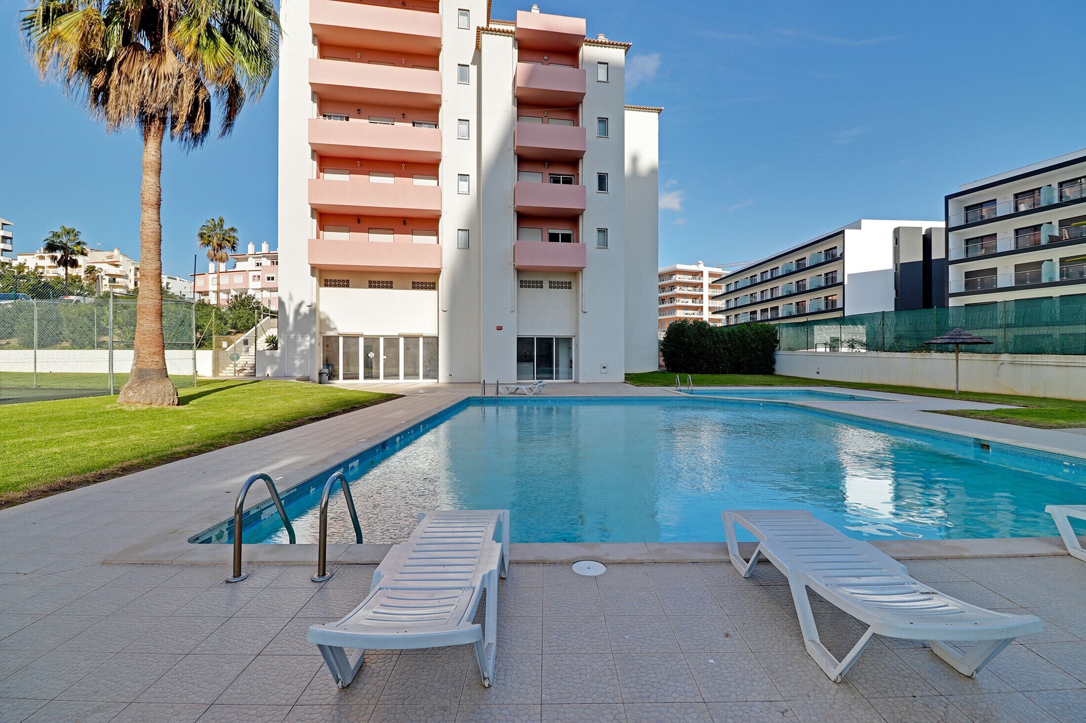 A swimming pool with lounge chairs, a palm tree, and a multi-story building in the background.