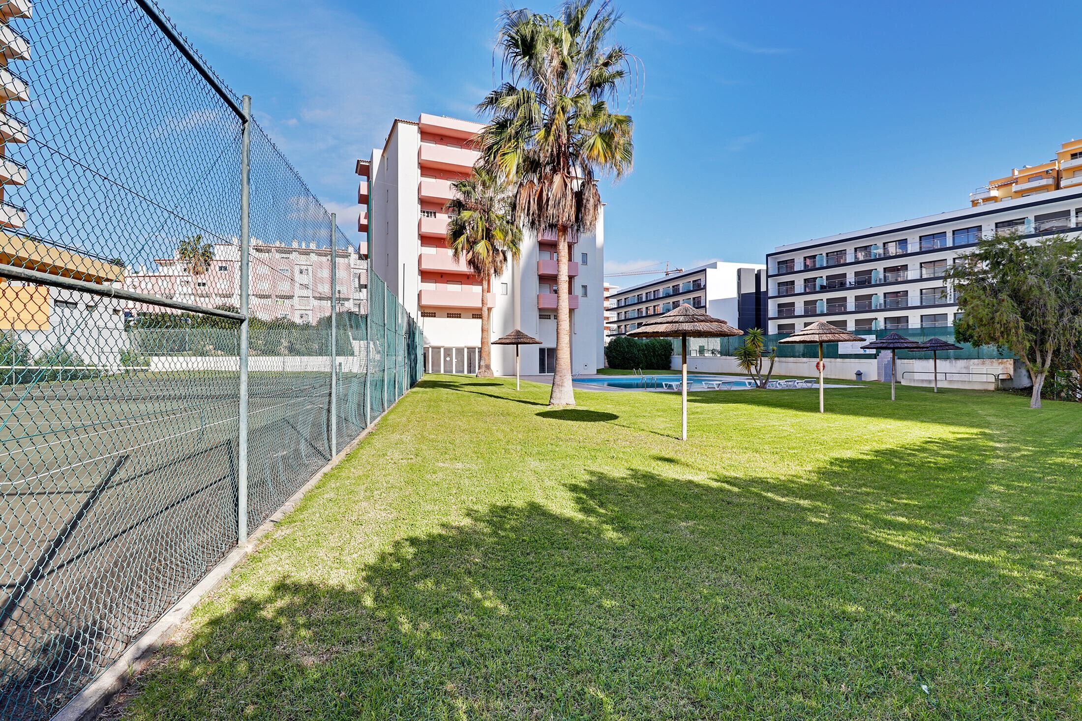 Un espacio exterior cercado con una palmera, una piscina y un edificio con varios balcones.