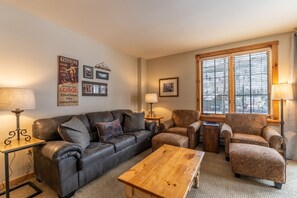 TV, fireplace, books
