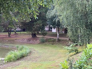A grassy area with trees and a small body of water.