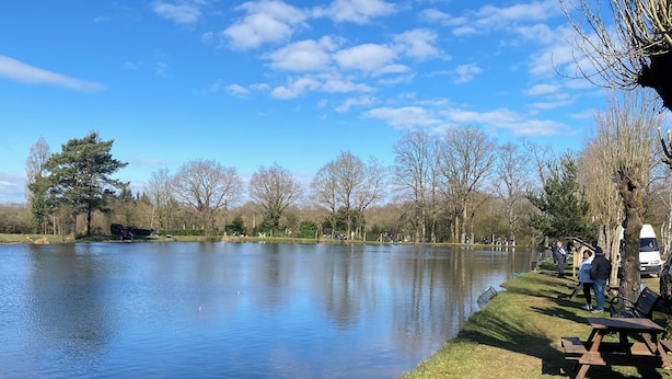 Un lago tranquilo con una orilla cubierta de hierba, árboles y mesas de picnic.