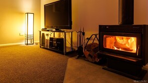 A living room with a flat-screen TV on a stand, a fireplace with logs, and a floor lamp. - Stargazers Escape Stanthorpe (Diamondvale)