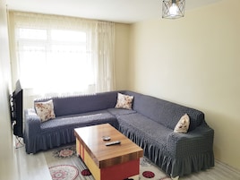 32-inch LED TV with satellite channels, TV