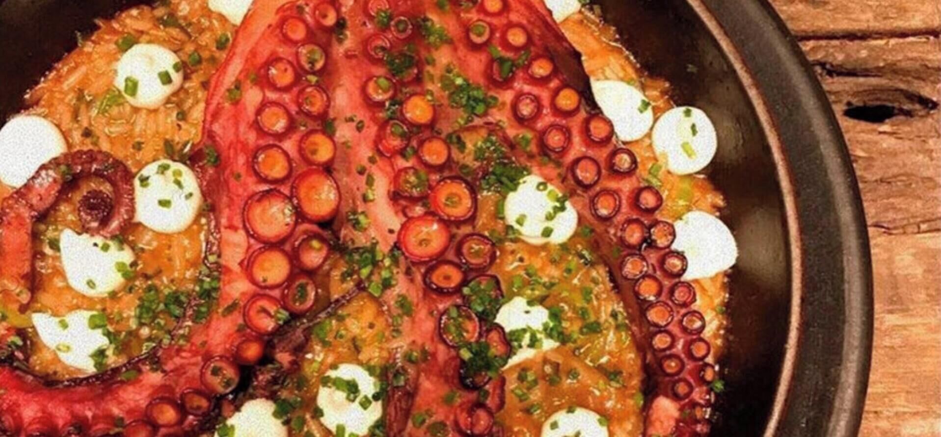 A dish with octopus tentacles and slices of white meat, garnished with green herbs.