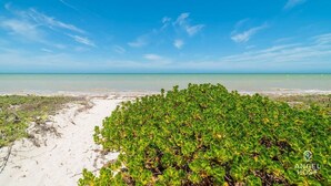 A beach with dense green vegetation in the foreground and a clear blue sky. - Luxe Beachfront Villa, Private Pool & Beach Access (Progreso)