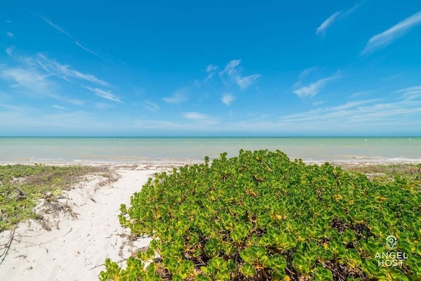On the beach, sun loungers, beach towels