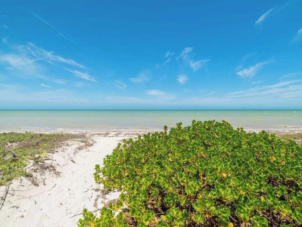 Uma praia com céu claro e águas calmas.