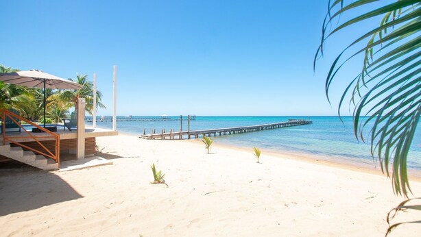 A beach with a wooden pier extending into the sea, a covered seating area with stairs, and small plants on the sand. - Casa Coral And Casa Palmera 4 Bedroom Home by RedAwning (Roatan)