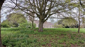 A park with a large tree, grassy areas, and a building in the background. - Cosy 1-bed Apartment in Swindon, Private Parking (Swindon)