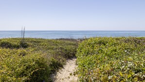 A sandy path leading to the ocean with dense vegetation on either side. - The Hamptons, Oceanfront Duplex in Atlantic Beach, NC! (Atlantic Beach)