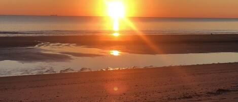 ビーチ、サンラウンジャー、ビーチタオル