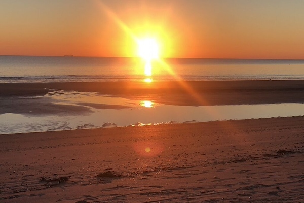 Plage, chaises longues, serviettes de plage