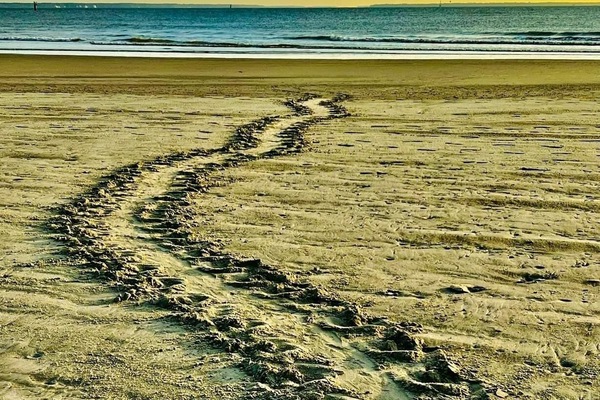 På stranden, solsenger og strandhåndklær